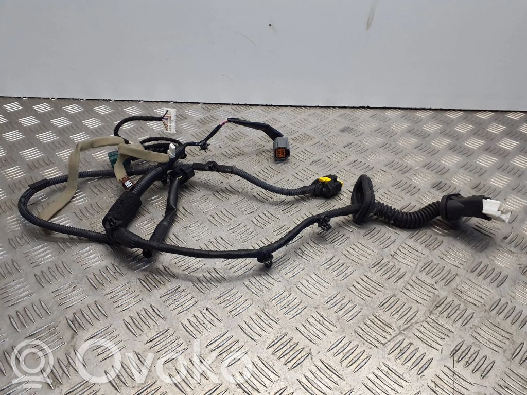 Infiniti Q70 Y51 Kabelbaum Leitungssatz Tür hinten 