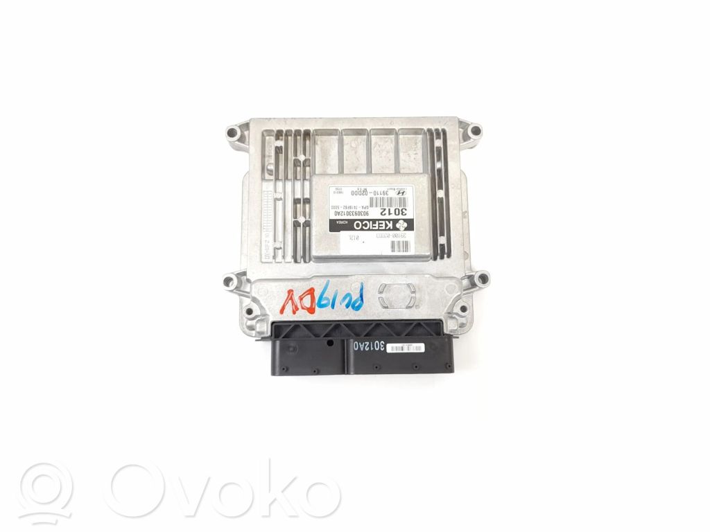 Hyundai i10 Engine control unit/module 
