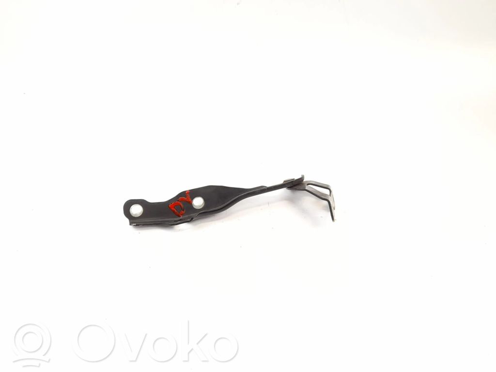 Tailgate/trunk/boot hinge