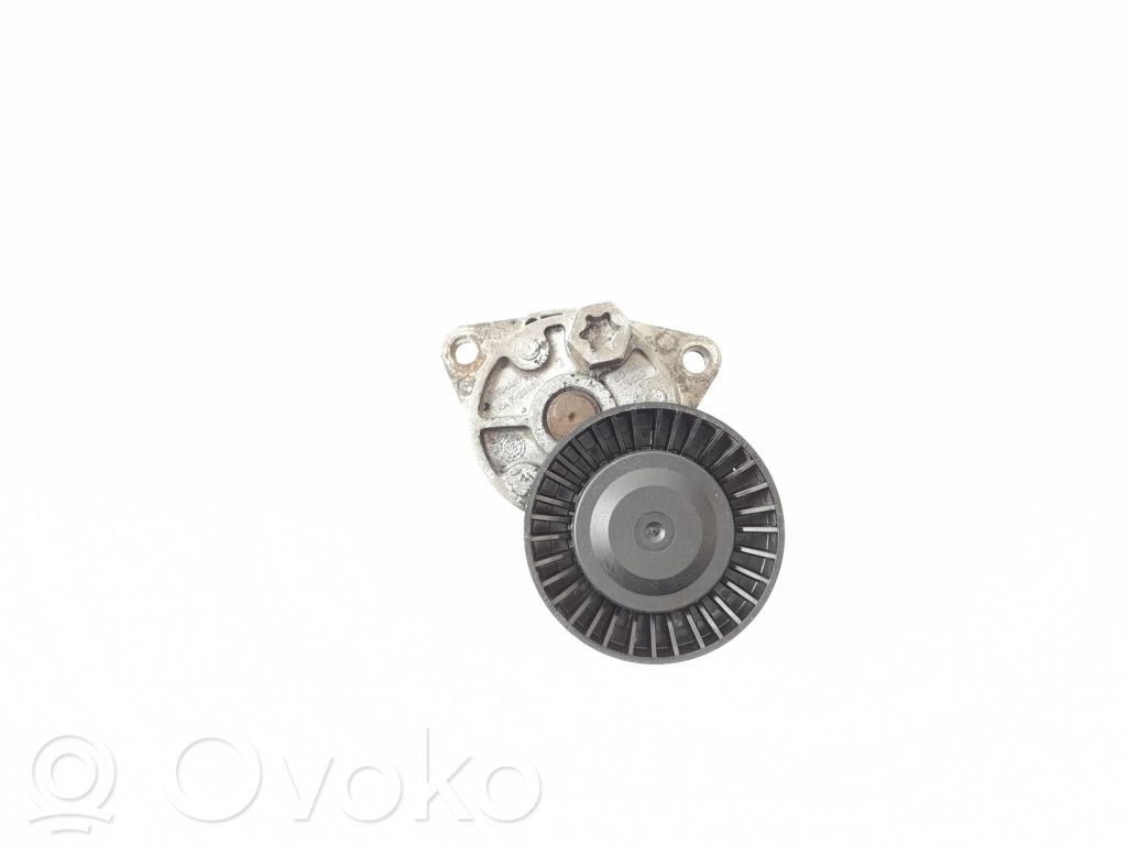 KIA Carnival Tendicinghia generatore/alternatore 