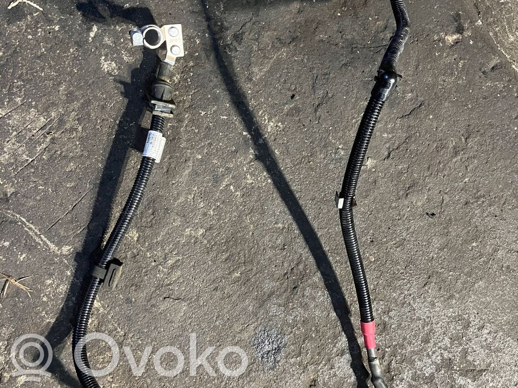 BMW X1 F48 F49 Cavo positivo (batteria) 