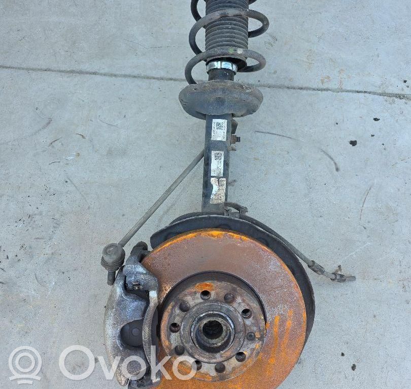 Volkswagen Golf VIII Zwrotnica koła przedniego 