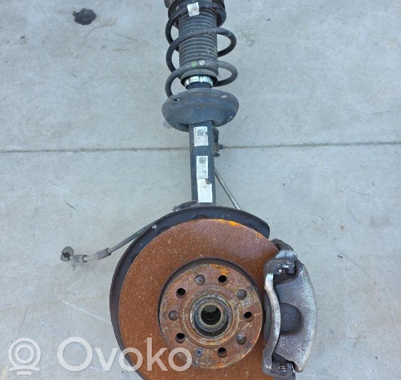 Volkswagen Golf VIII Amortyzator osi przedniej ze sprężyną 