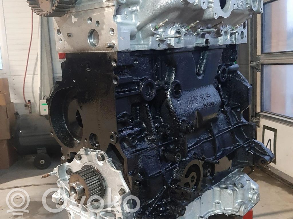 Variklis   DW10FEU