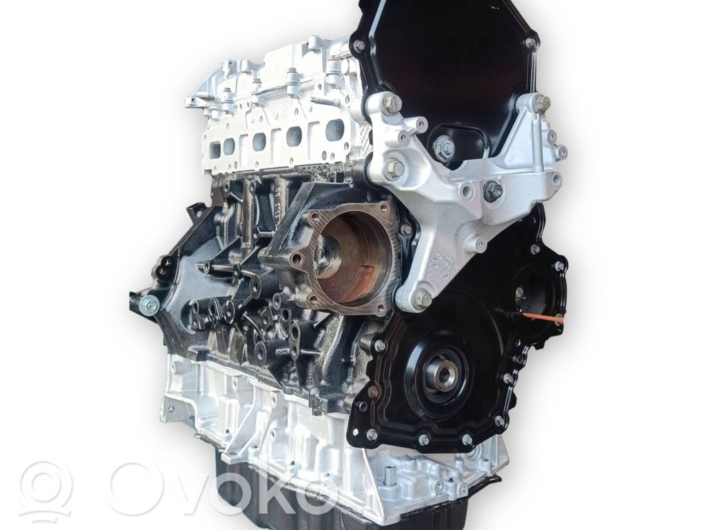 Austauschmotor   YLCA