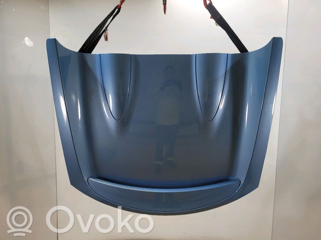 Renault Wind Galinis dangtis (bagažinės) 