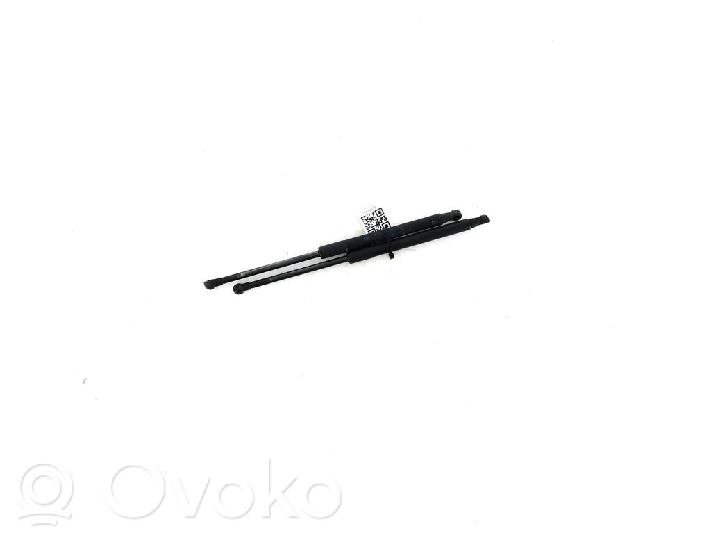 Citroen C6 Amortizor hayon 