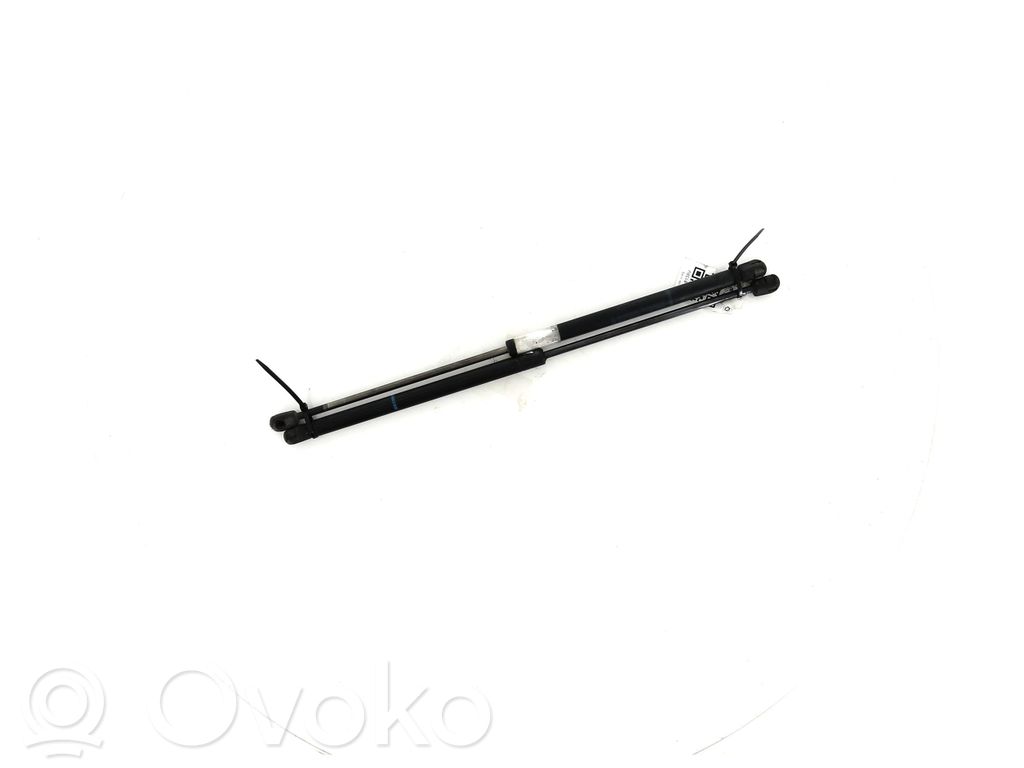 Ford Focus Tailgate strut 