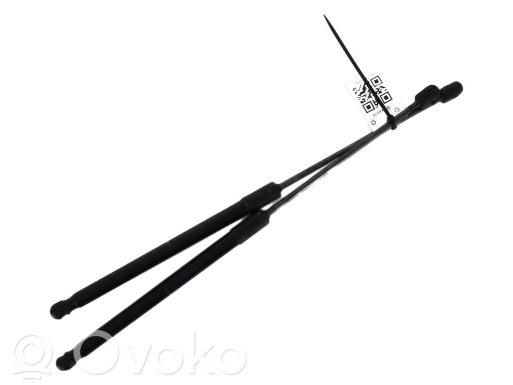 Audi A1 Tailgate strut 