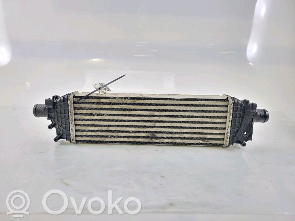 Ford Fiesta Interkūlerio radiatorius 