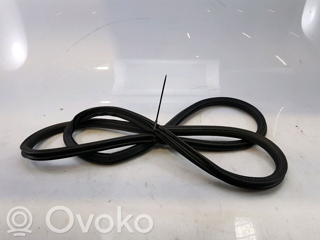 Fiat 500X Sandarinimo guma priekinių durų (ant kėbulo) 