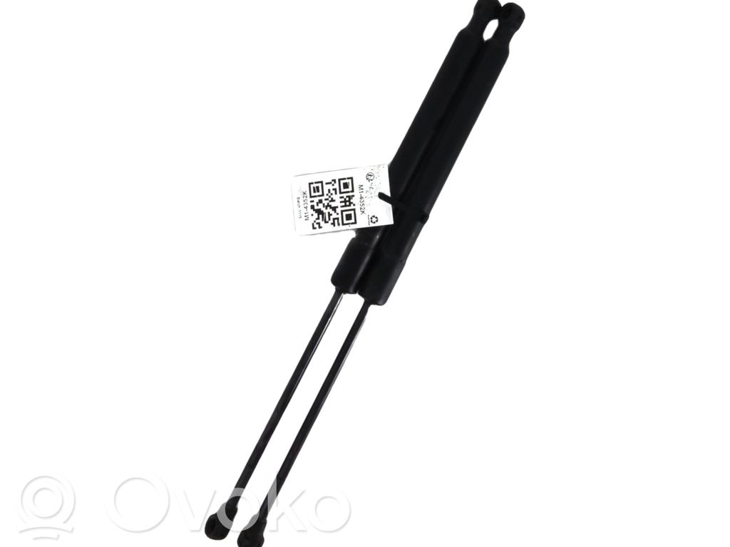 Renault Clio IV Jambe de force de hayon