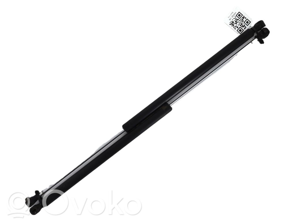Tailgate strut   8731G6,N13699H