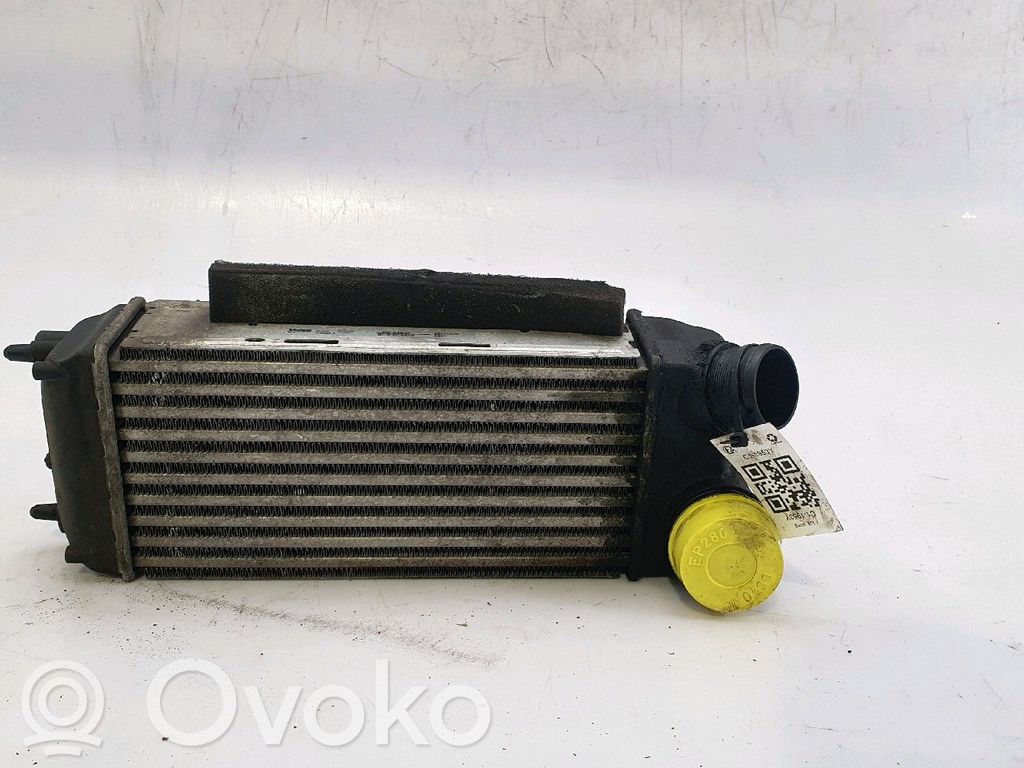 Ford Fiesta Radiatore intercooler 
