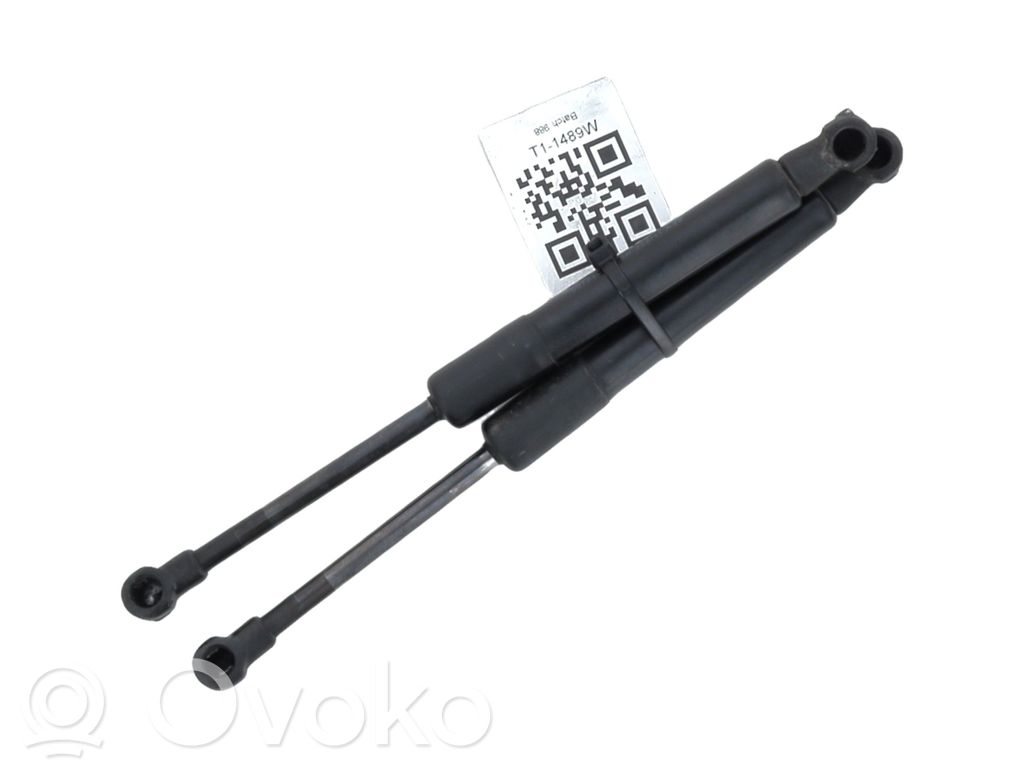 Audi A3 S3 8P Puntone del portellone posteriore 