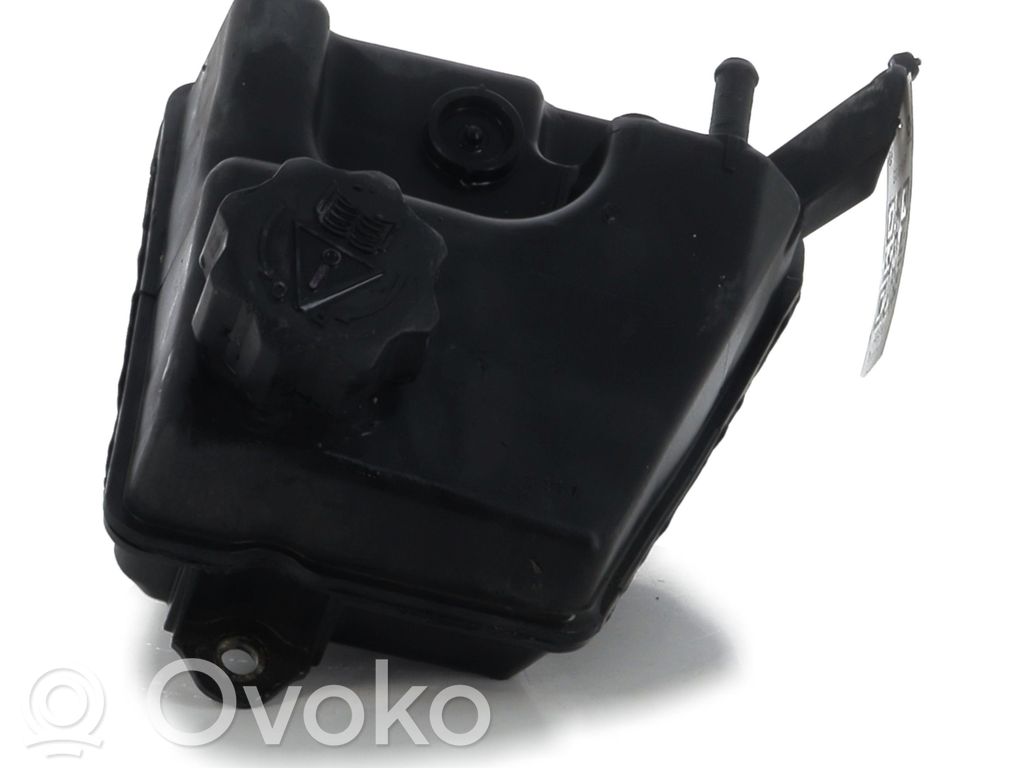 Peugeot 406 Vas expansiune/rezervor lichid de răcire 