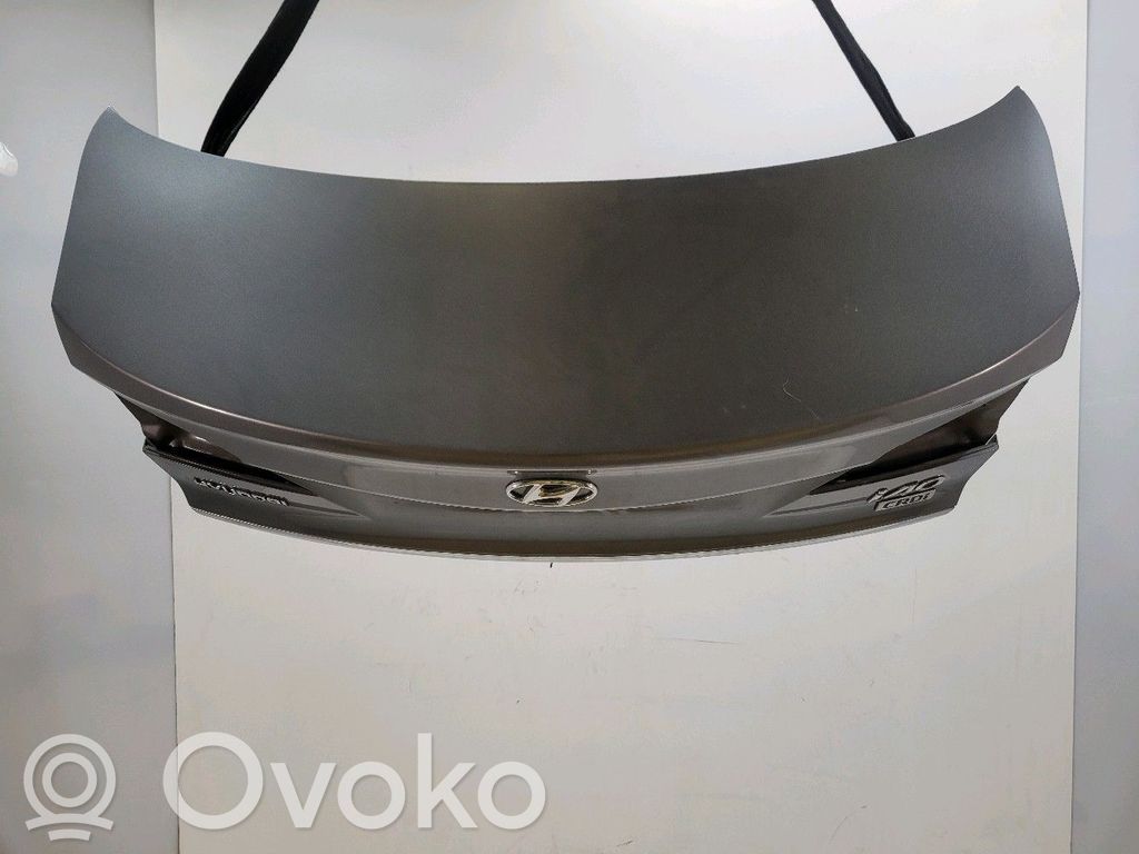 Tylna klapa bagażnika   692003Z310,P15780I
