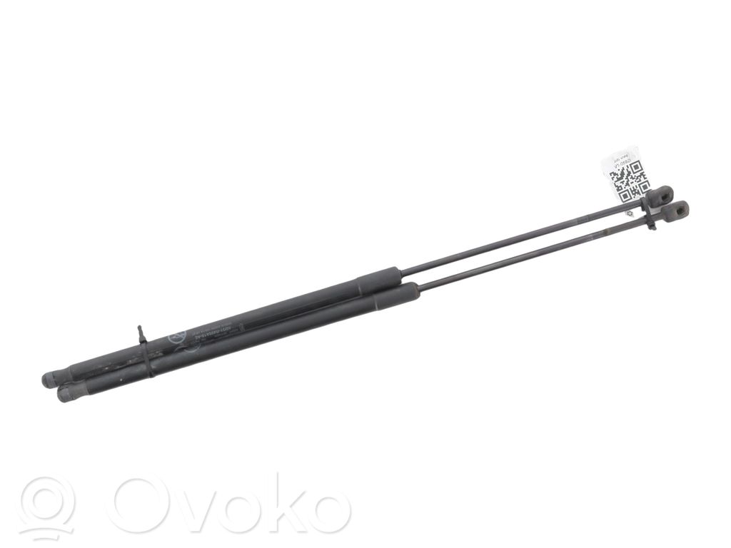 Ford C-MAX II Tailgate strut 