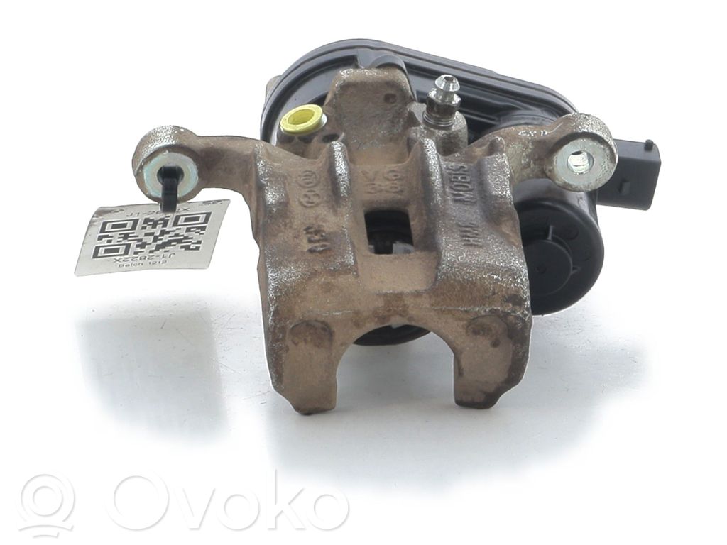 Takajarrusatula   58311E4A00,J12822X