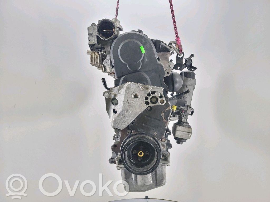 Skoda Octavia Mk2 (1Z) Motor 