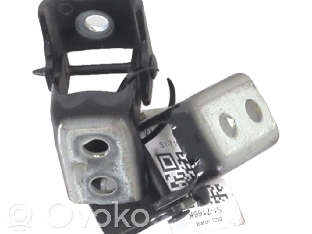Citroen C3 Set di cerniere portiera anteriore 