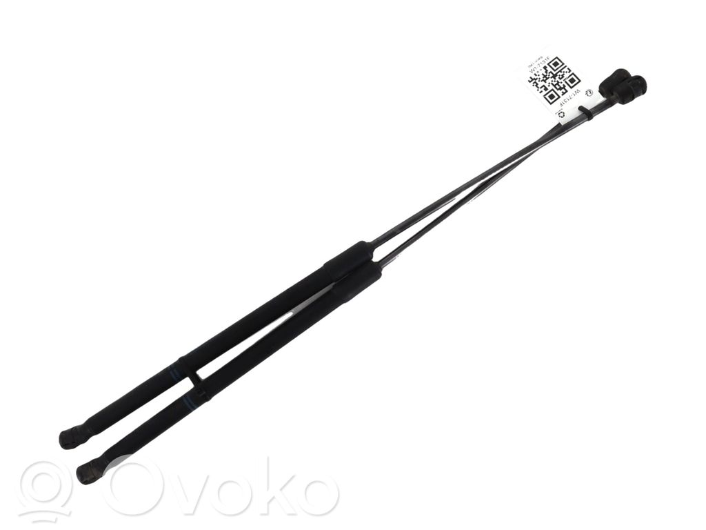 Tailgate strut   13428038,W17131F