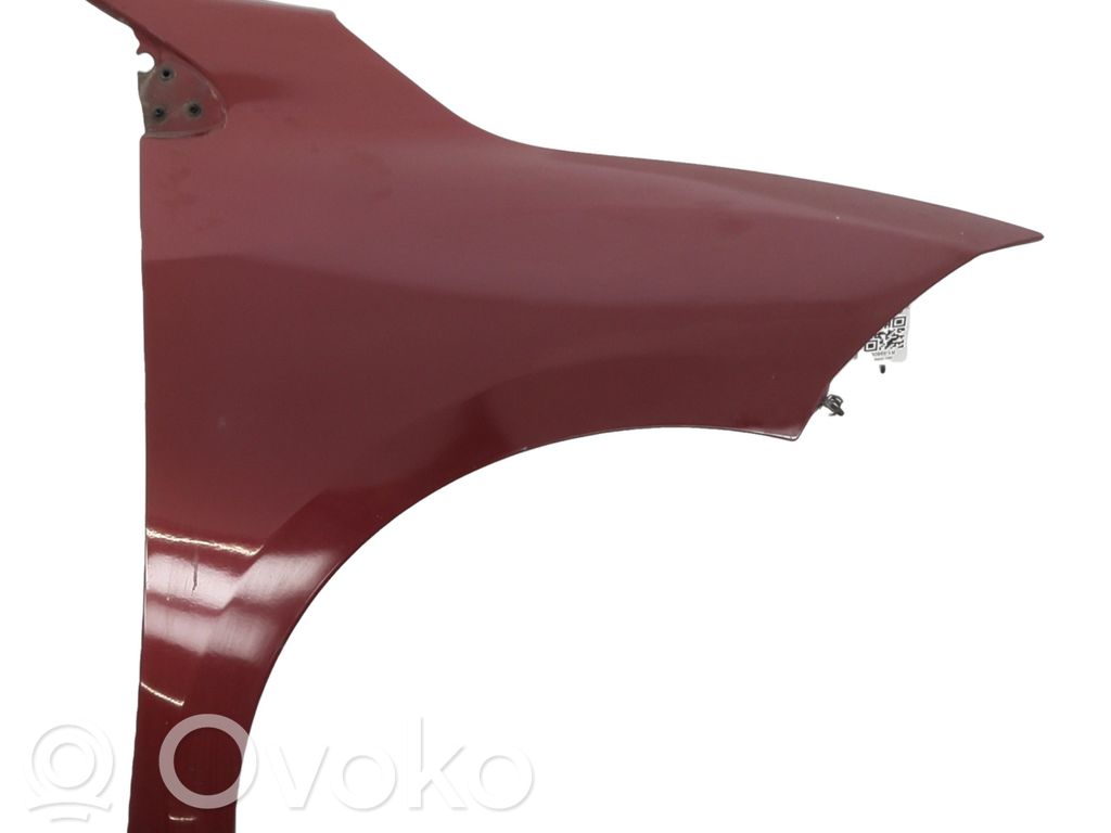 Guardabarro   631005149R,R15980E