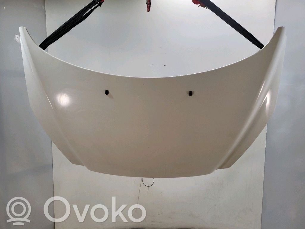 Konepelti   7901P6,T09707M