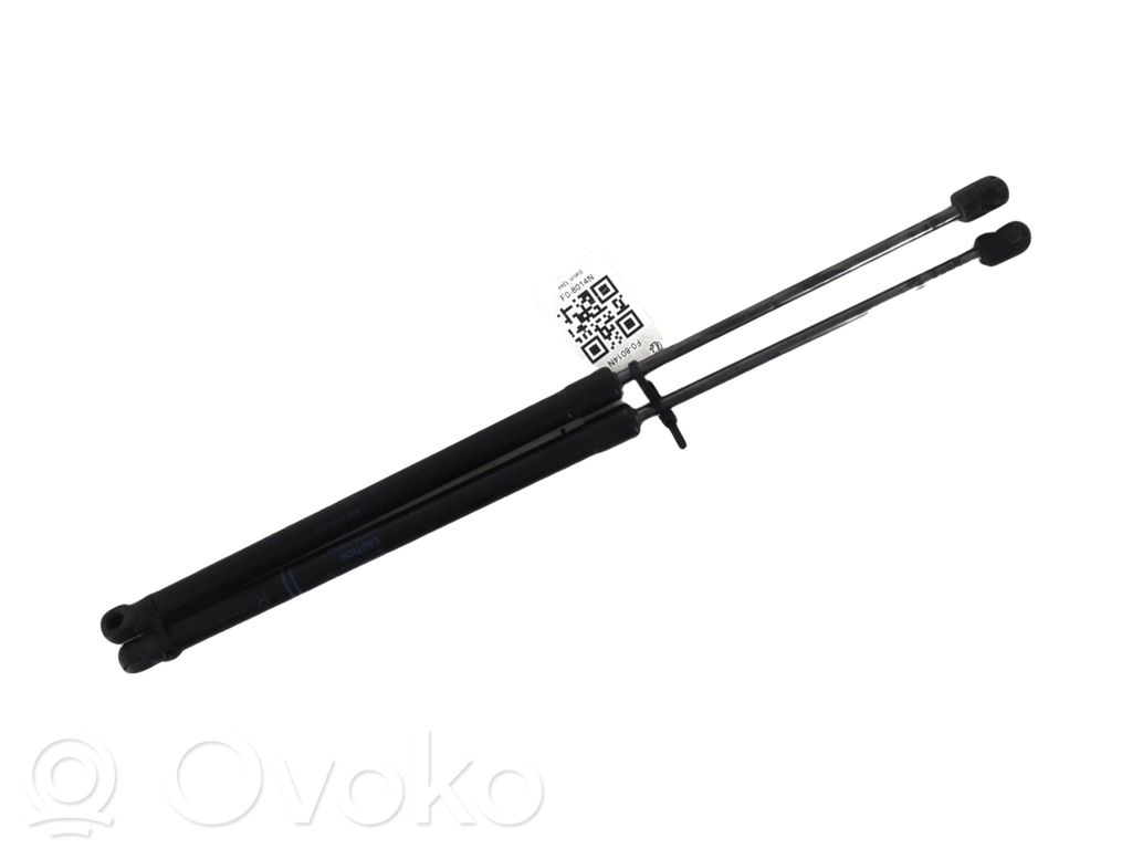 Suzuki Celerio Tailgate strut 