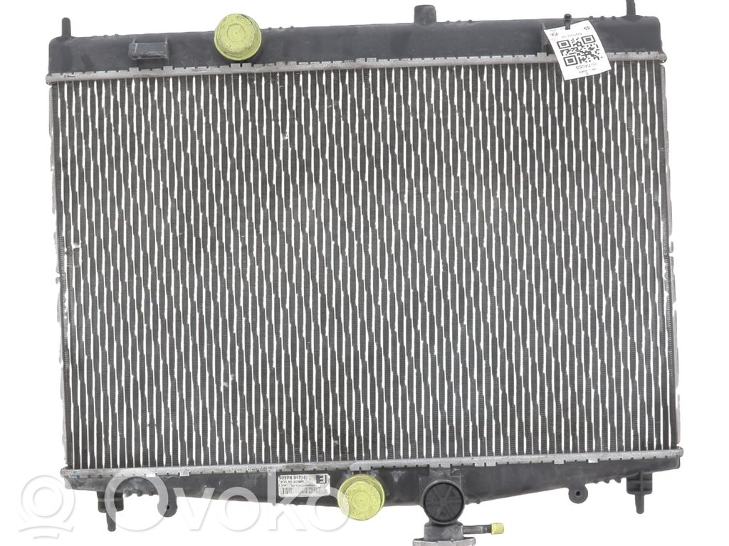 Nissan Juke I F15 Radiatore di raffreddamento 