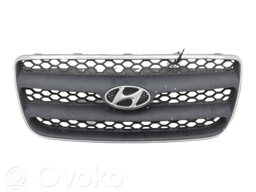 Hyundai Santa Fe Front bumper upper radiator grill 