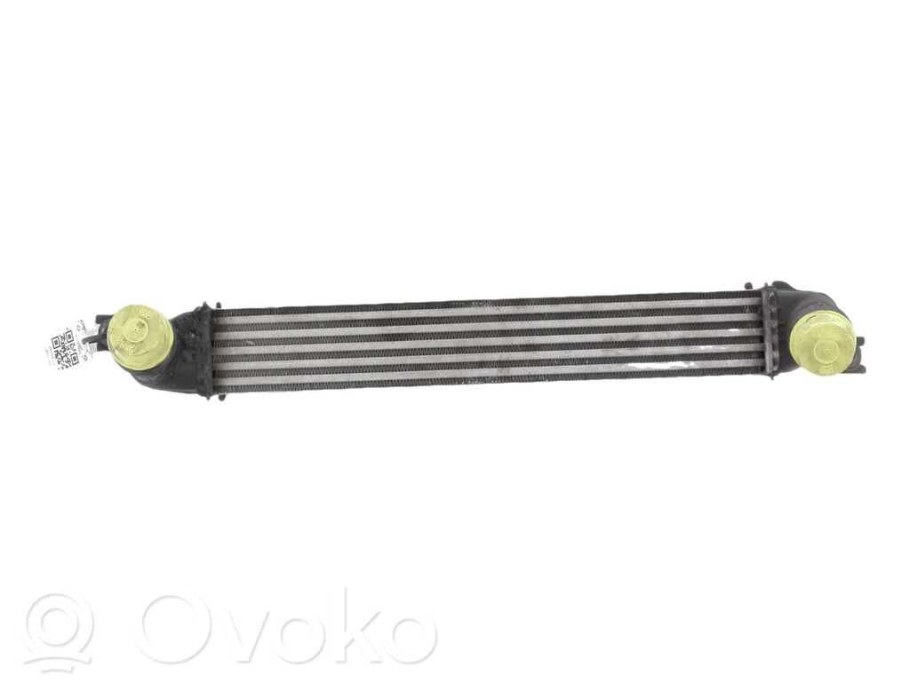 Chłodnica powietrza doładowującego / Intercooler   17518506904,Y16098E