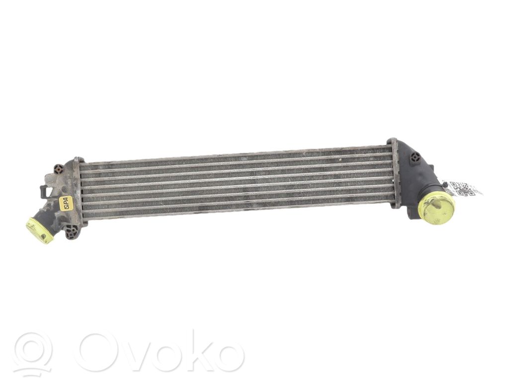 Renault Kangoo I Interkūlerio radiatorius 