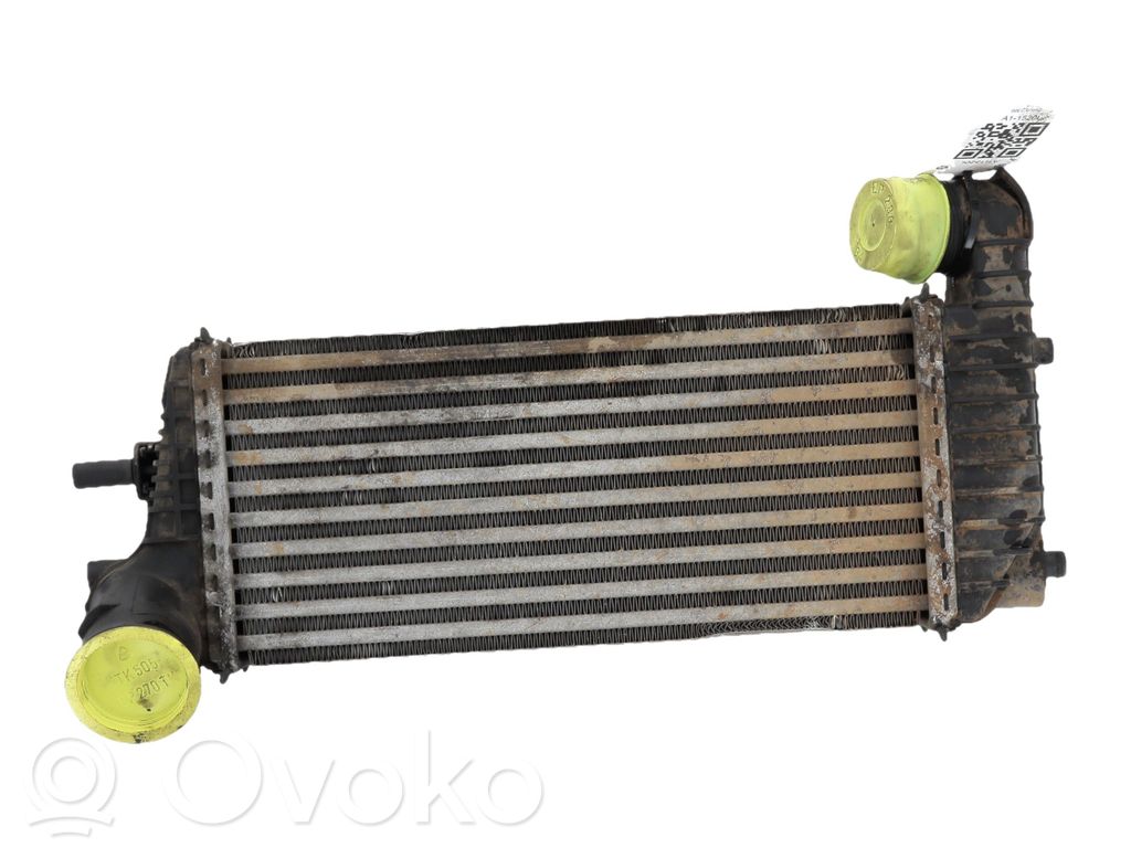 Ford Transit -  Tourneo Connect Radiator intercooler 