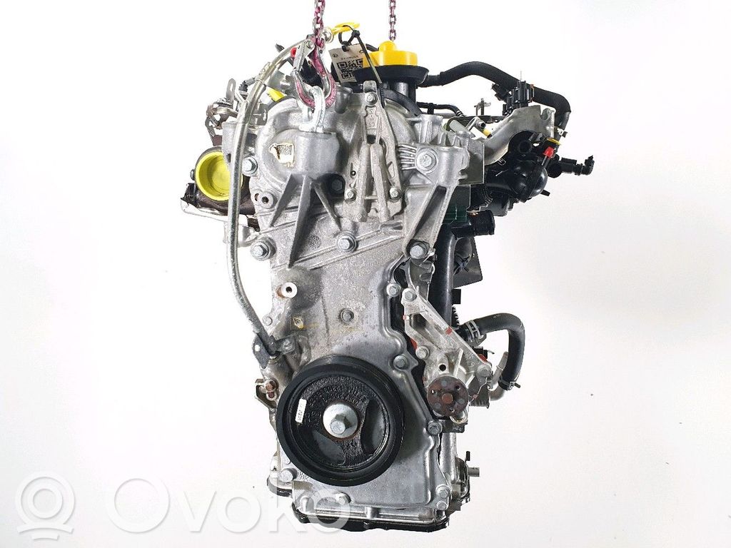 Motore   H4D480,F17695S