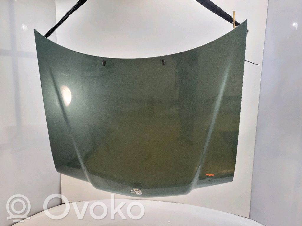 Pokrywa przednia / Maska silnika   202880015728,X17077P