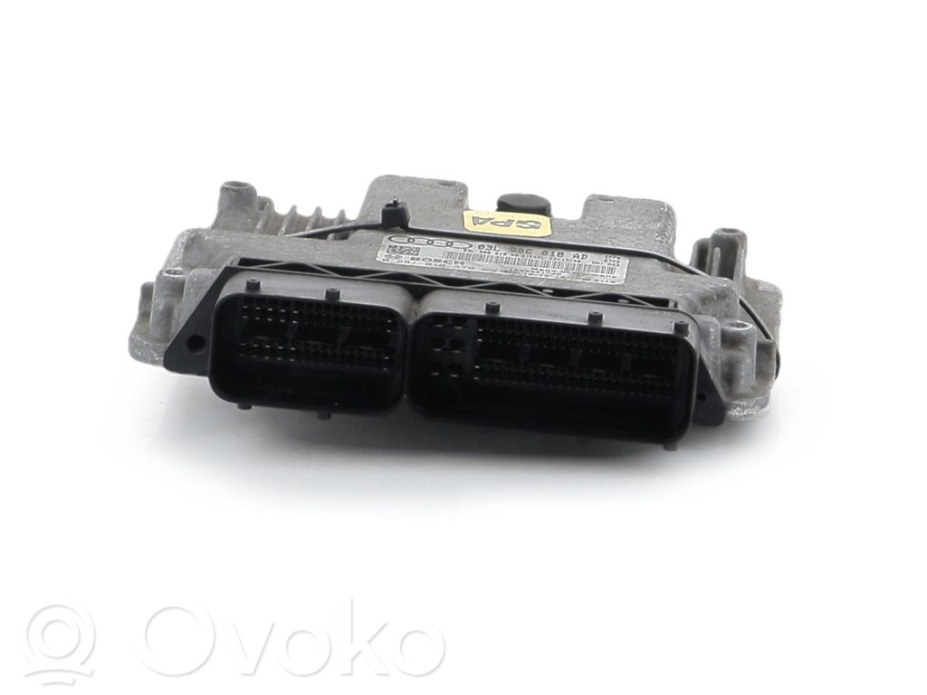 Sterownik / Moduł ECU   3L906018AD,W13653C