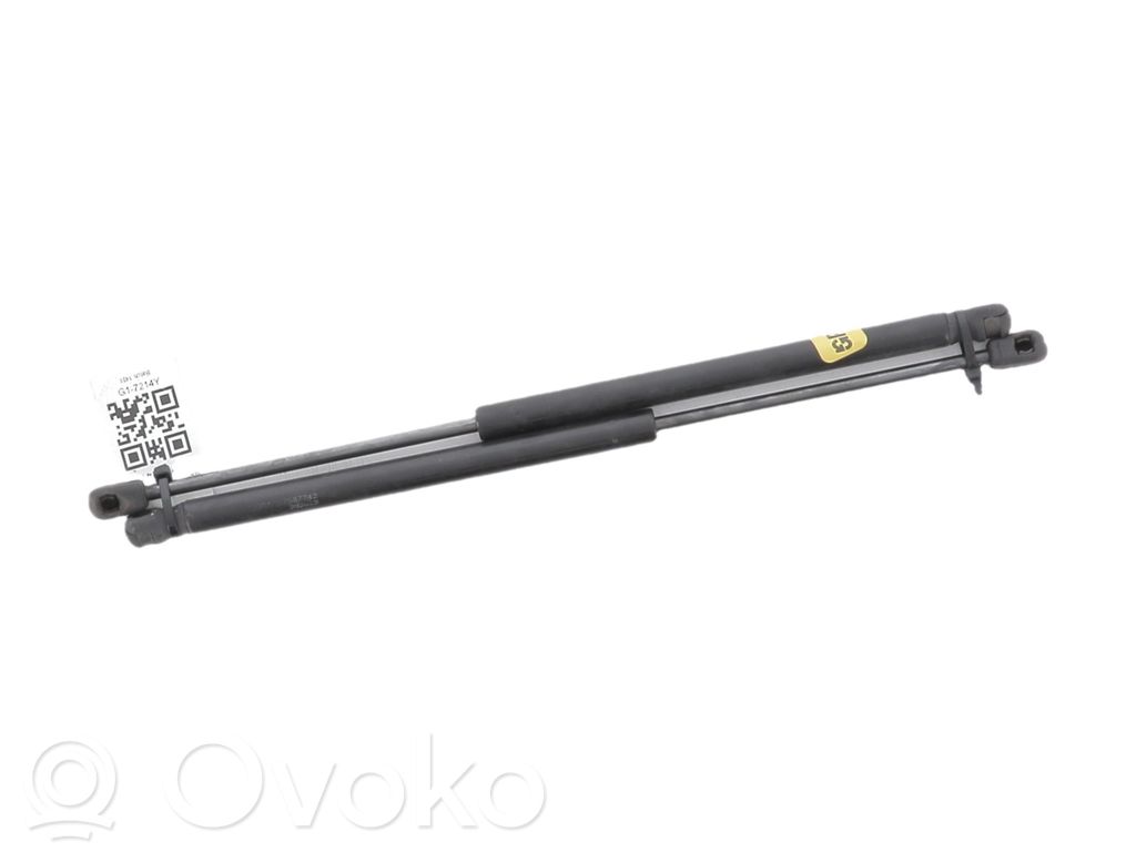 Volkswagen Golf V Jambe de force de hayon 