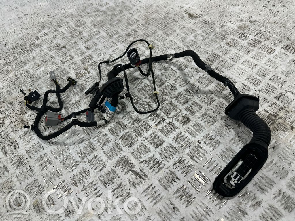 Cableado de puerta delantera   816509533,84933437,8165009532
