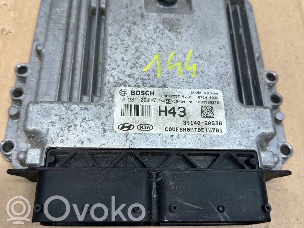 Engine control unit/module   391402A530,0281031716