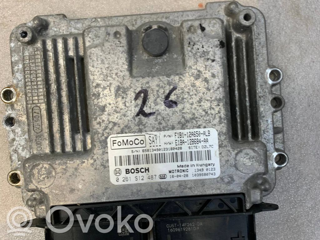 Ford Fiesta Other control units/modules 