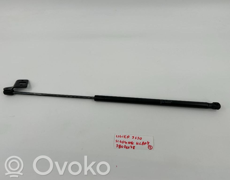 Ligier JS 50 Tailgate strut 