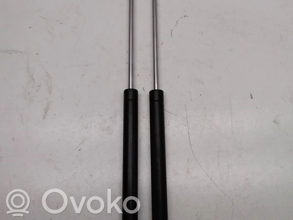 Renault Clio II Tailgate/trunk strut/damper 