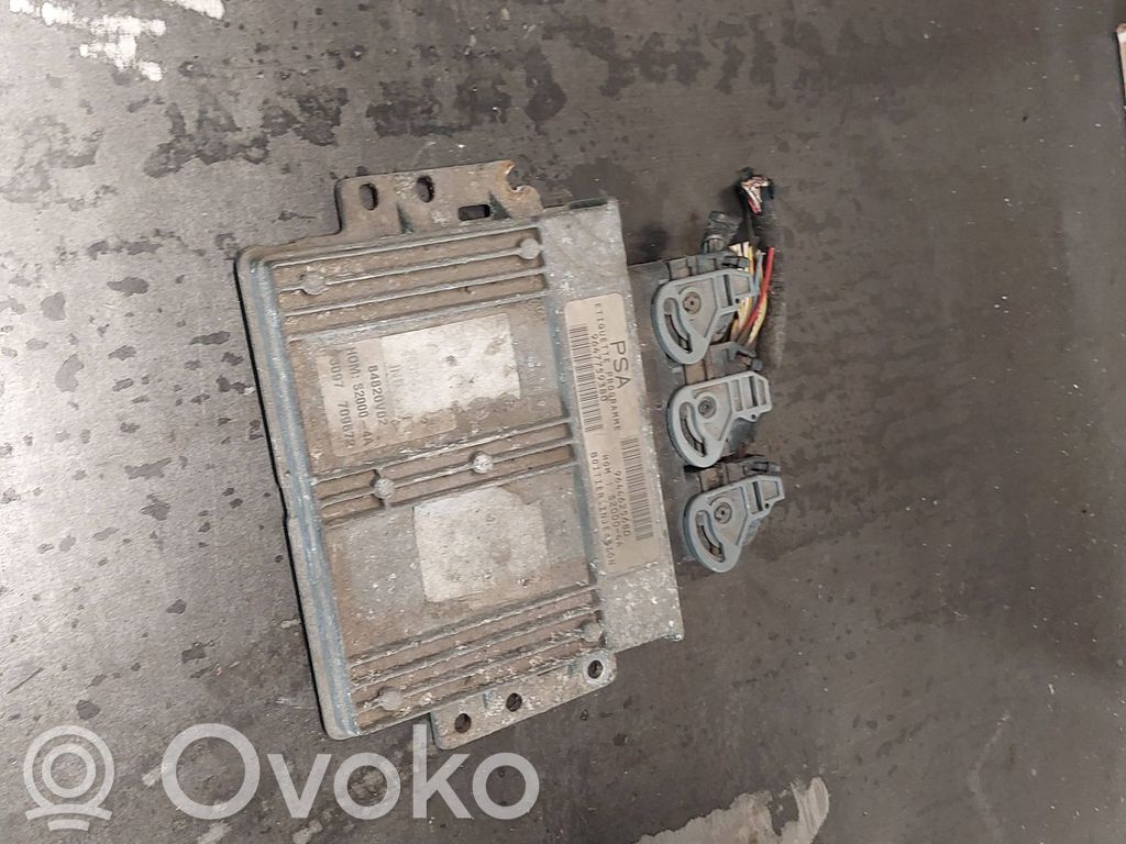 Peugeot 206 Engine control unit/module 