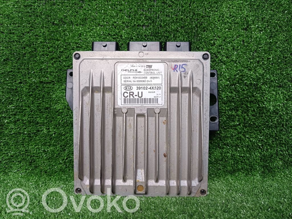 KIA Carnival Engine control unit/module 