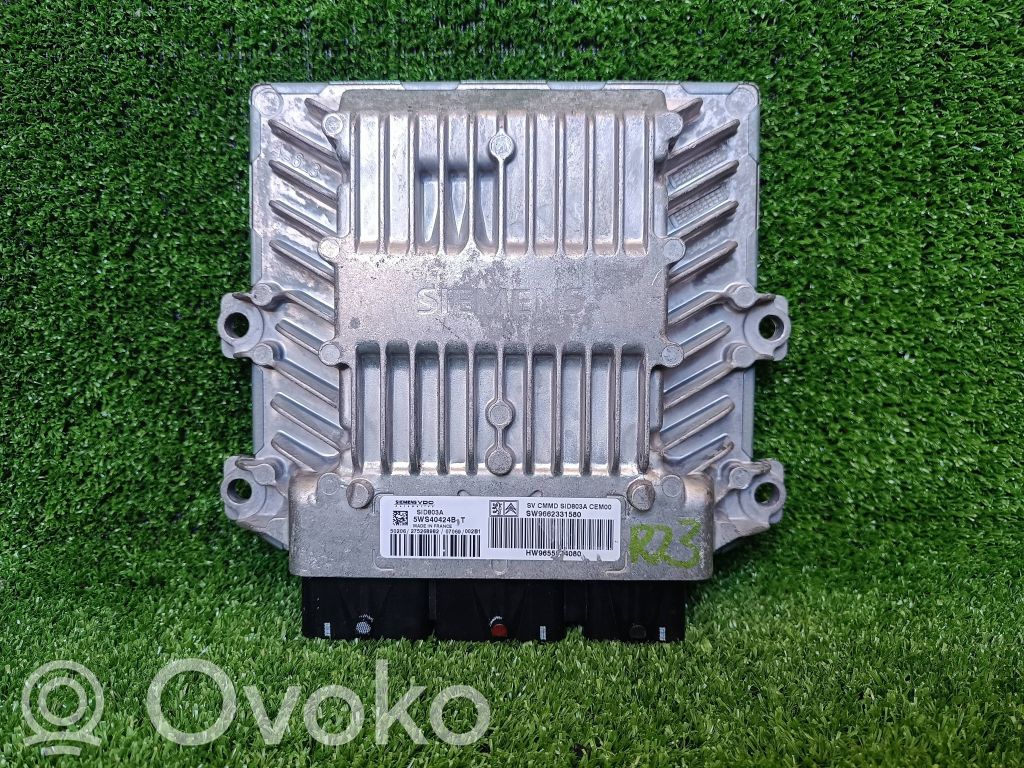 Engine control unit/module   5WS40424BT