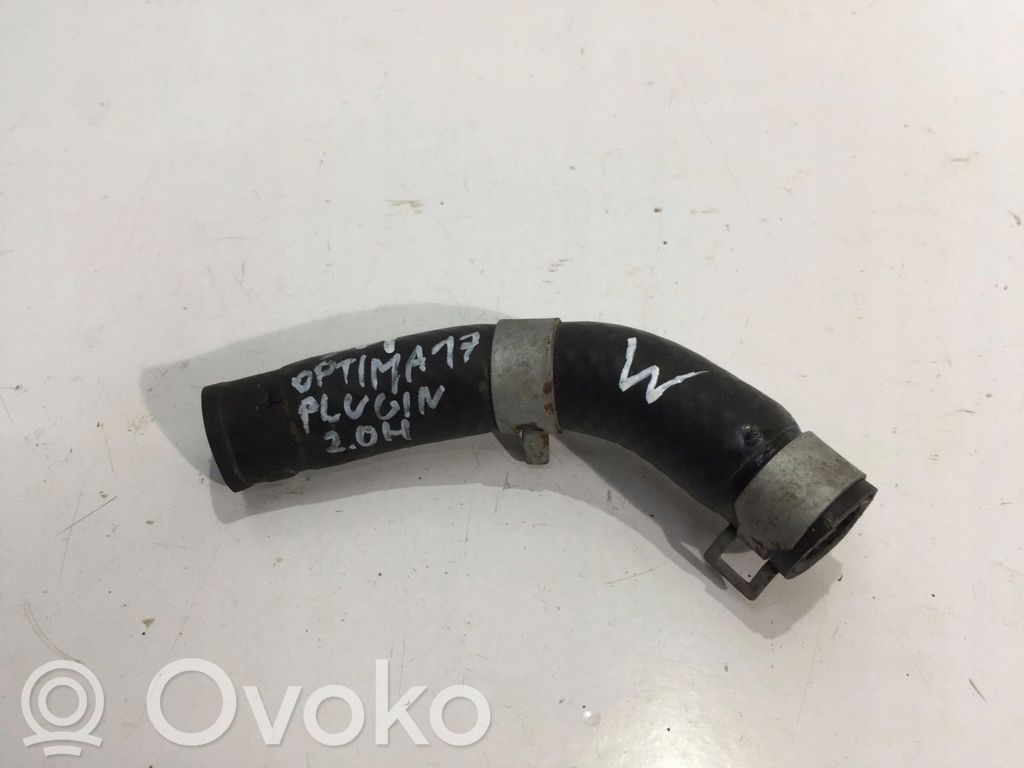 KIA Optima Variklio aušinimo vamzdelis (-ai)/ žarna (-os) 