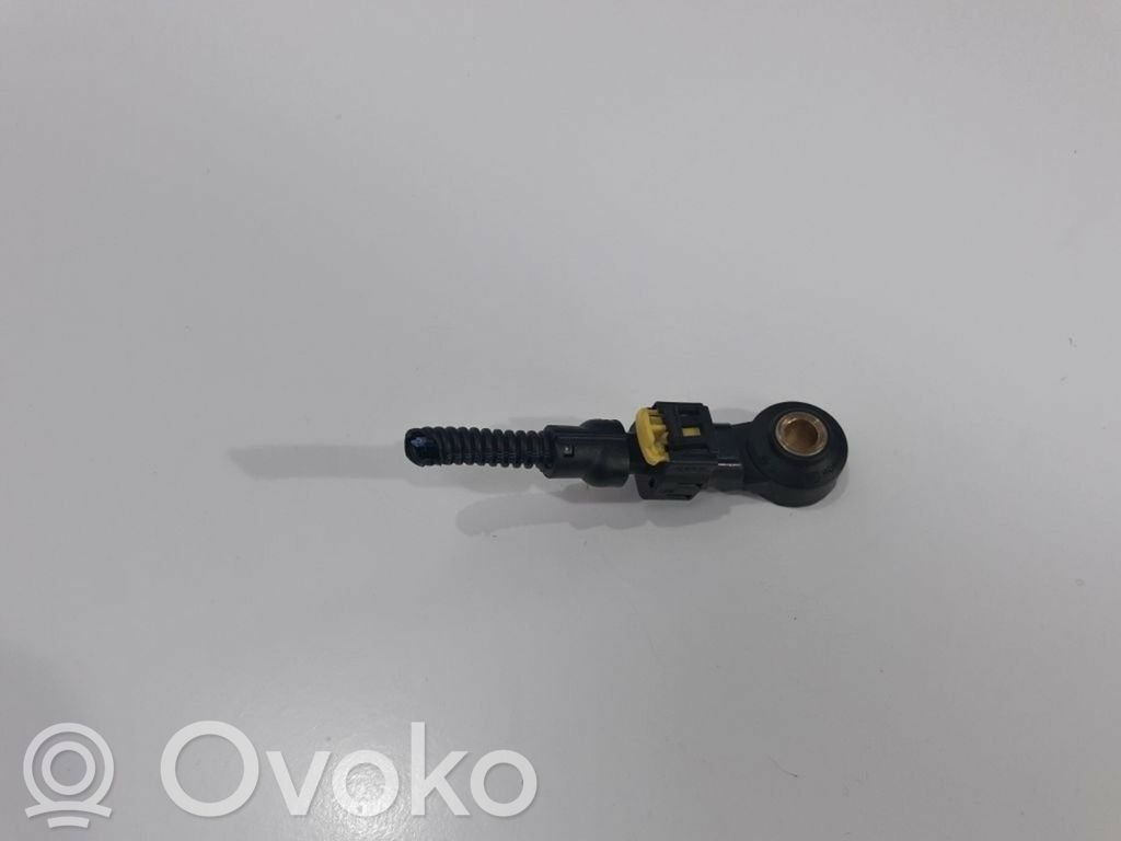 Jeep Compass Detonacinis daviklis 
