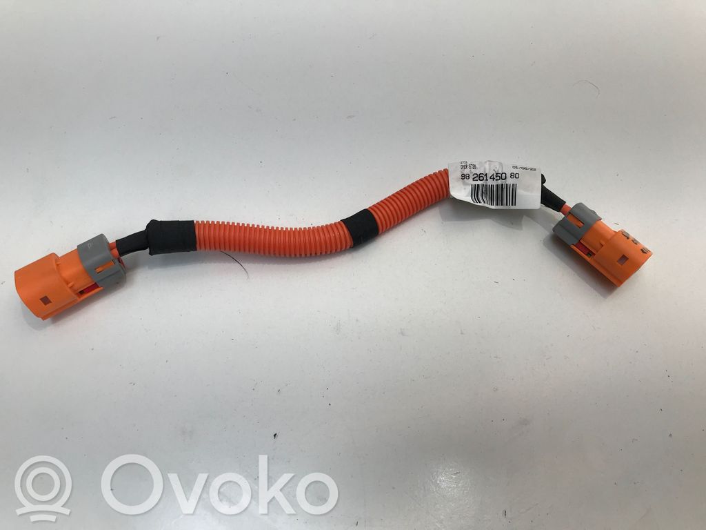 Citroen C4 III e-C4 Other wiring loom 
