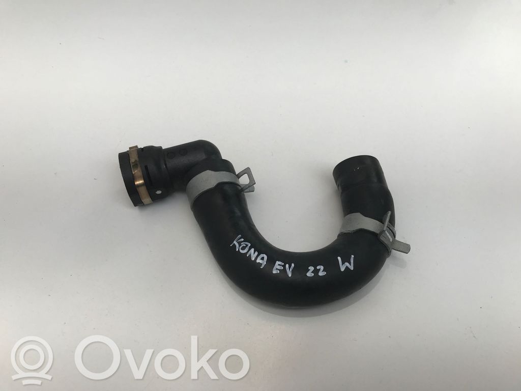 Hyundai Kona I Variklio aušinimo vamzdelis (-ai)/ žarna (-os) 